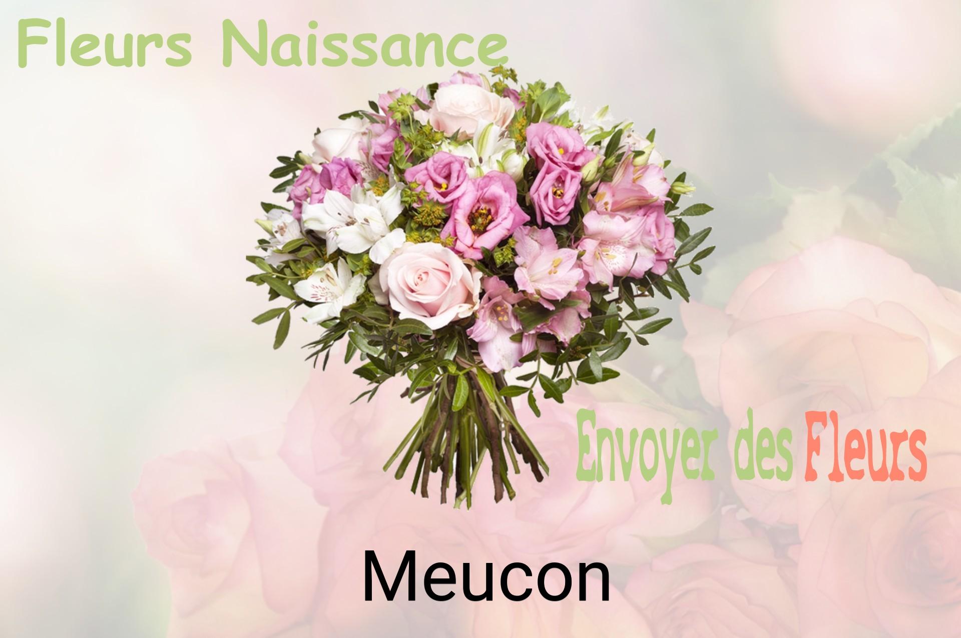 Bouquet de fleurs de naissance livré à Meucon